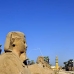 temple_luxor_lux_v_0084_egy3553.jpg